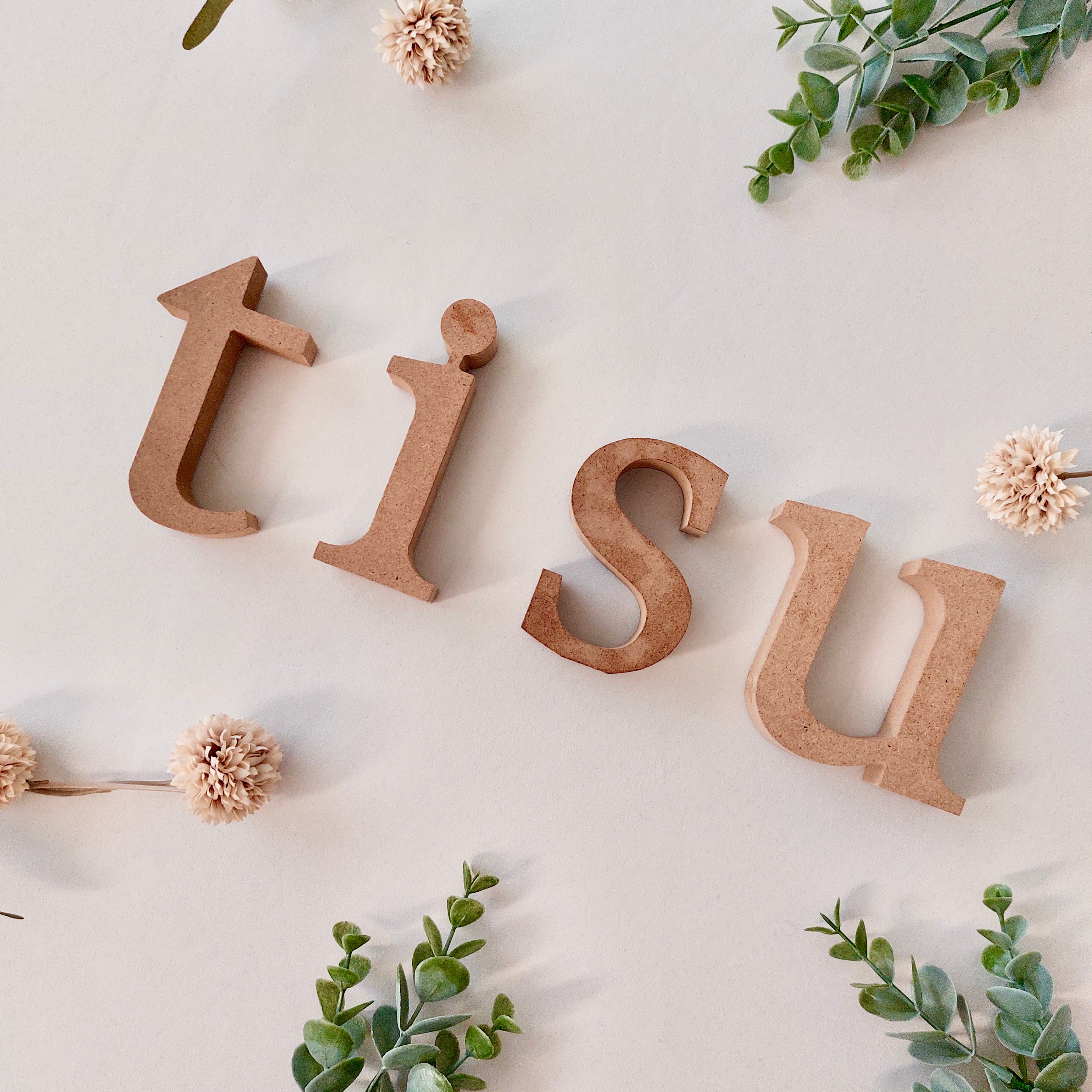 TISU logo taustalla